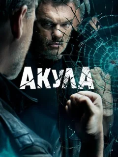 Акула